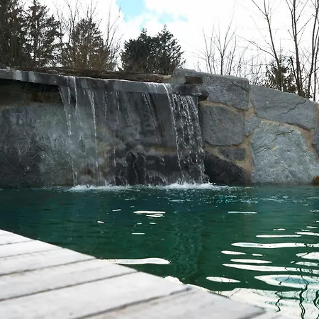 Luxury With Swimming Pond Nature Escape Upper Austria Feriehus Sankt Johann am Walde